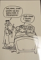 Asini, Muli, Corvi, Maiali_071